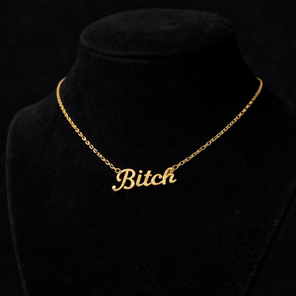 Bitch Word Necklace: Gold or Silver Stainless Steel Statement Jewelry for Bold Women
